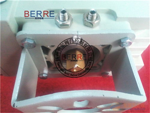 精小型電動(dòng)執(zhí)行機(jī)構(gòu)生產(chǎn)廠家